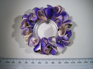 Purple Shell Bracelet