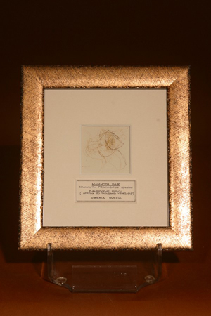 Beautifully Framed Fossil Mammoth Hair