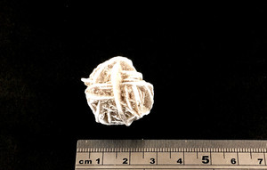 Gypsum Rose