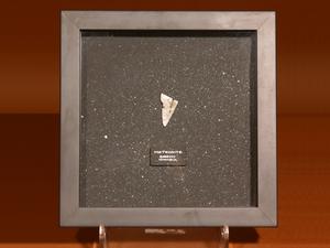 Beautifully Framed Meteorite