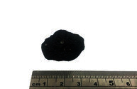 Tektite var. Indochinite Pieces