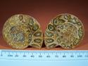 Ammonite Collector AA grade pairs