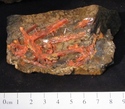 Crocoite Crystals in Matrix