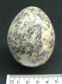 Dendritic Agate Egg
